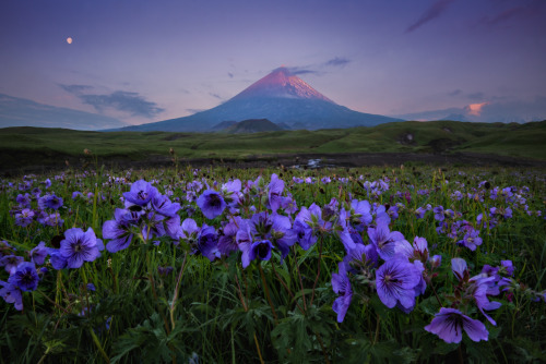 expressions-of-nature: Volcanoes of Kamchatka, Eastern Russia by Andrey Grachev