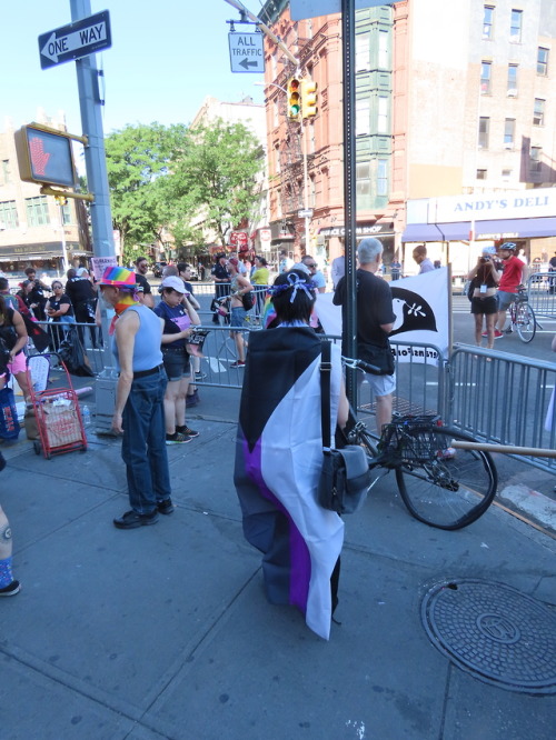 redbeardace:NYC Pride Parades 2019 @arowitharrows you said you hadn&rsquo;t seen Aromantic presence 