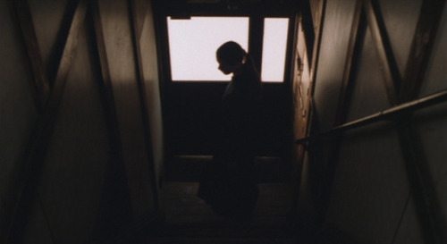 liinza:Maboroshi no hikari, Hirokazu Koreeda, 1995