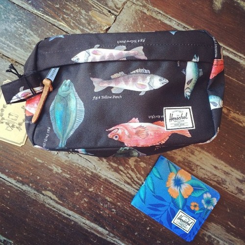 New Herschel dopp lots & wallets just in! I’m lookin at you @tricecat #fish #herschel #dop