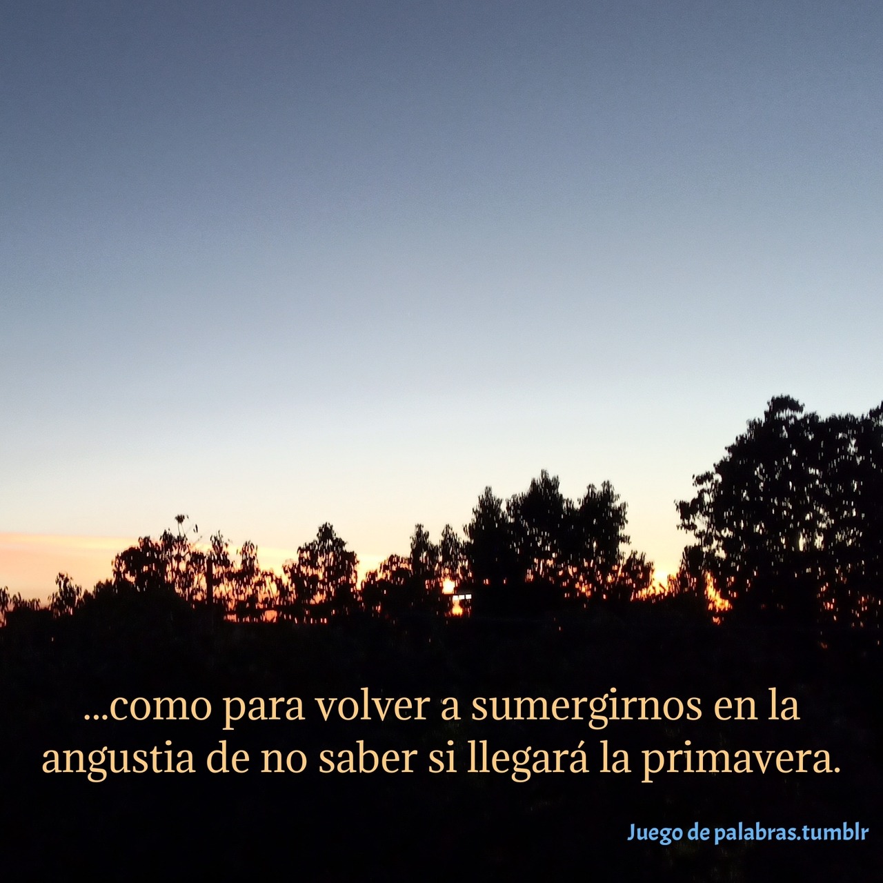 Lo eterno y lo fugaz — Un pequeño amanecer desde mi ventana.