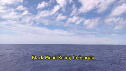 subtitlebuoy:Wind speed 5.0 m/s. Sea temp: 30.0 °C, air temp: 29.2 °C. #blackmoon