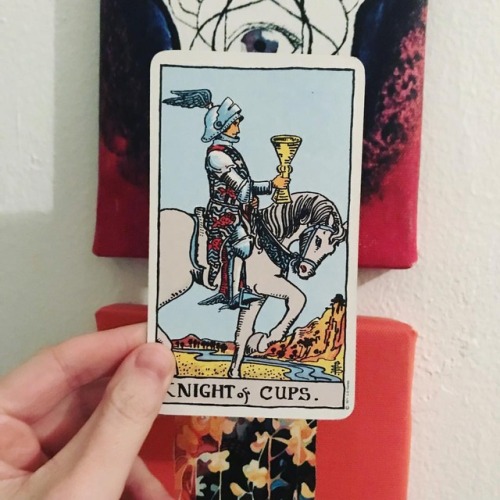 #dailytarot 11/27 ✨ Knight of Cups ✨ Today’s #message is a reminder that it’s okay to pursue opportu