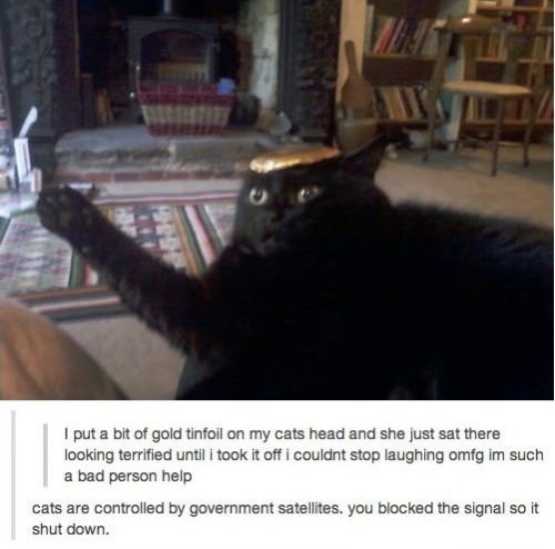 afunnypicture:  Photo http://bit.ly/naviineko 