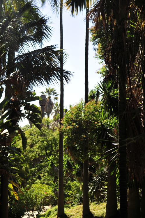 Jardim Botânico da Universidade de Lisboa