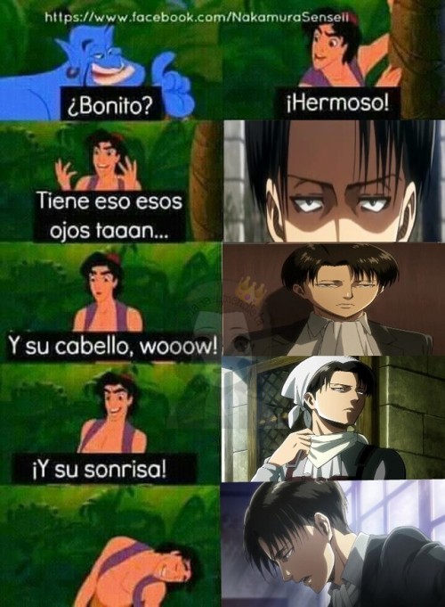 Perfeccin
