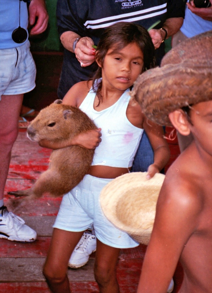 rhythmicdogsharmonicdogs:  rio negro, brazil