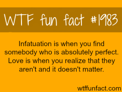wtf-fun-factss:  Infatuation vs Love - WTF