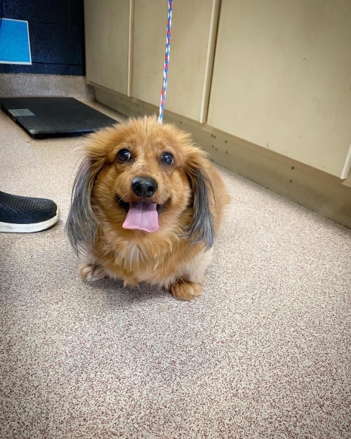 sleepy-bebby:Adopted  :)