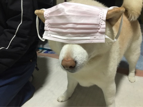 (⁄ ⁄•⁄ω⁄•⁄ ⁄)