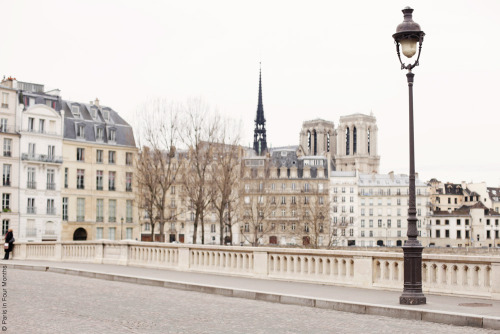 milkyoghurt: View Over Notre Dame (by Paris in Four Months)