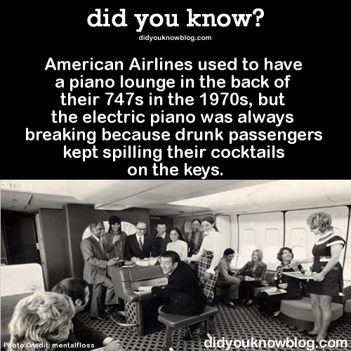 XXX did-you-kno:  American Airlines used to have photo