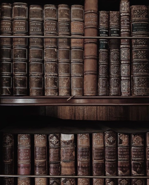 lord-des-fleurs:  Books, art, galleries and museums are the best material things in the world, aren’t they?