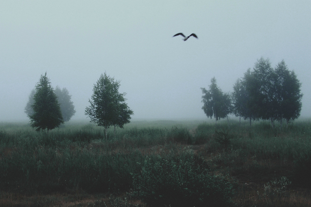 jacindaelena:  by Annija Muižule         