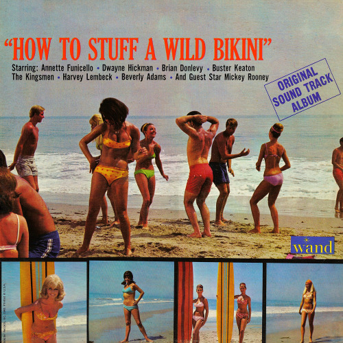 Porn photo ost. HOW TO STUFF A WILD BIKINI (1965)(via