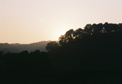 On the other side - Kodak Gold, Minolta Dynax 5000i - Hangzhou, China - December 2017