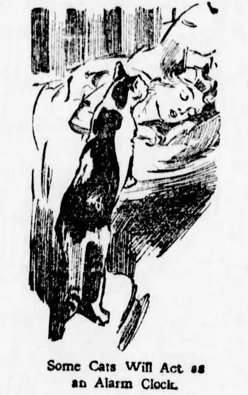 Vancouver Daily World, British Columbia, September 24, 1910