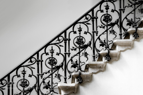 stephanocardona: forged handrail by gilclaes