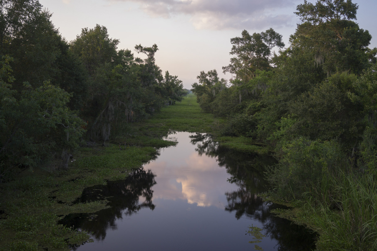 Marerro, LA. June 3, 2015.