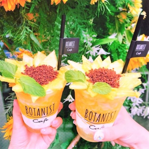 kawaii-box-co:Botanist Cafe in Tokyo, Japan serves these amazingly sunny sunflower smoothies! ☀️ The