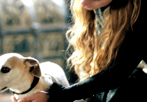 gifshistorical:

Faye Marsay as Anne Neville | The White Queen 1.02 #anne#1x02#gifs