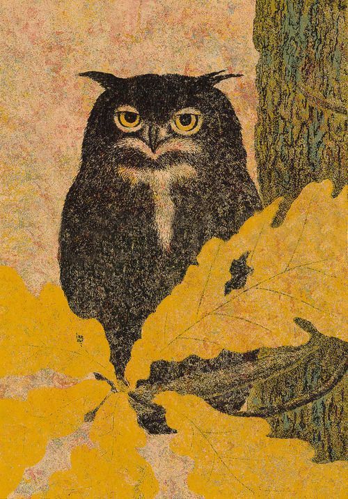 enchantedbook:
“ ‘Owl’ by Yukio Katsuda
”
Owl. Sowa. Eule.
Bird. Ptak. Vogel.