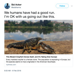 mad-magyar: alreadyclaimednamefk:  buzzfeed: Scientists have discovered a species of mutant all-female crayfish that reproduce asexually in massive numbers.   Y’all: -make this a gender issue- Southerners: Never fucking ending crayfish boil 