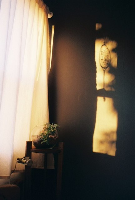 muleum:  sans titre by anneparker on Flickr. 