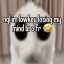 liminalspirit6