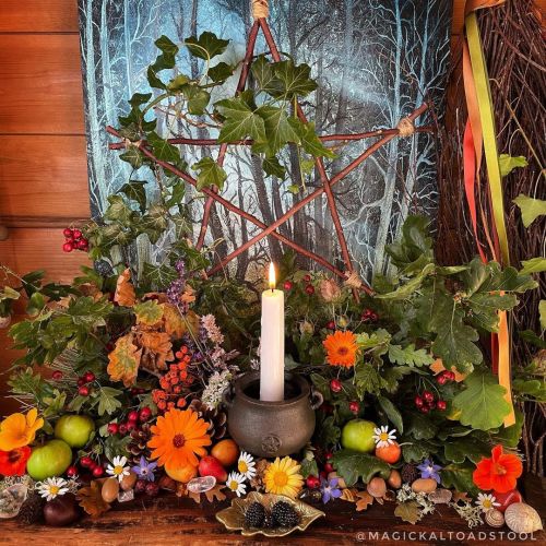 Mabon altar is finally complete. All grown at home or foraged from my local walks.  This if my favou