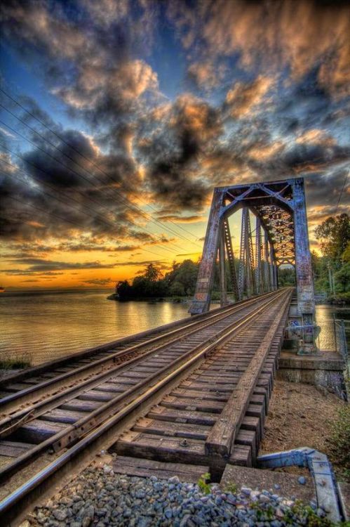 everylittlethingshedoesismagic: “Old railroad bridge over the Capilano River, Vancouver”