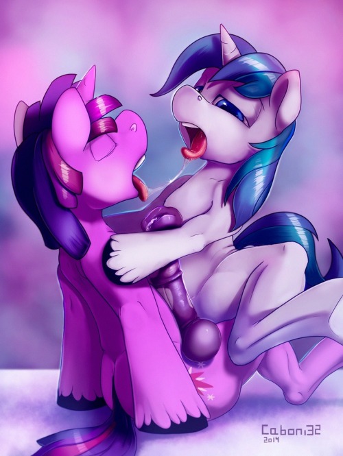 naughtyponies:  Gay.