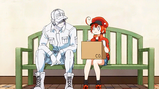 Cells At Work On Tumblr Cells At Work On Tumblr