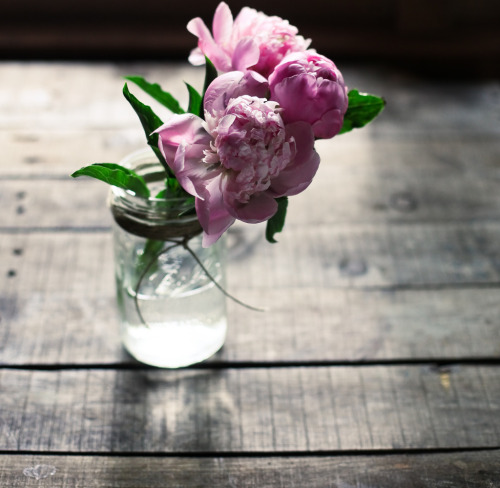 beeslikehoney:  hello, gorgeous. by hannah * honey & jam http://flic.kr/p/eRCHUm