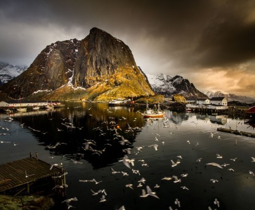 natgeotravel: Birds soar on a cloudy day in the Loften Islands, Norway. Photograph by Lior Yaak
