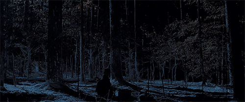 ragnarlodbroked:Stranger Things 2 + scenery