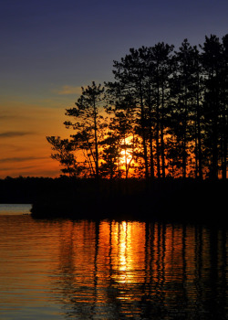 metronudes:  Northwoods Sunset (by John Rav) 