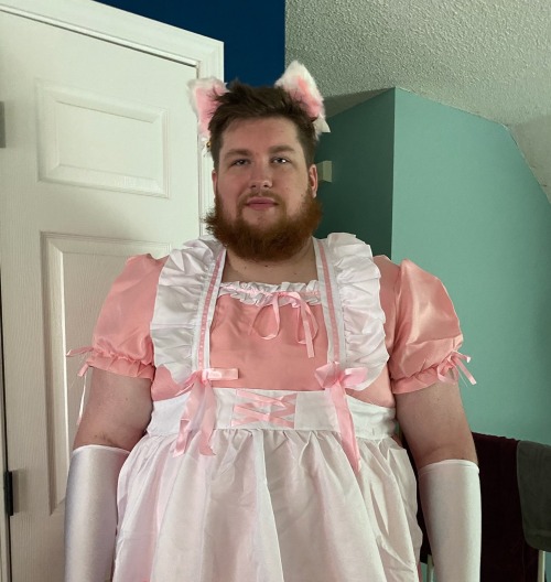 Im Starting A Collection Of Them In Various Costumes/outfits Theyve Worn On Streams
