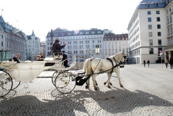 thelittlevienna:    A perfect day for a ride - Am Hof | Vienna 