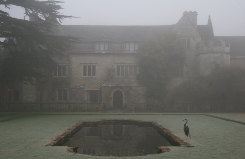 theenglishladye: Private Gardens at Athelhampton House by Andrea Cooke