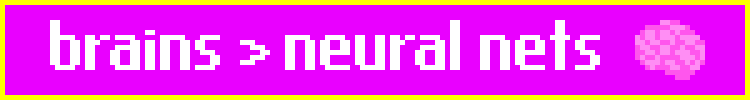 brains > neural nets
