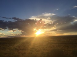 cant-do-da-heist-heists-a-crime:  Sunsets and tits. Driving through bluff on our way to Pima.