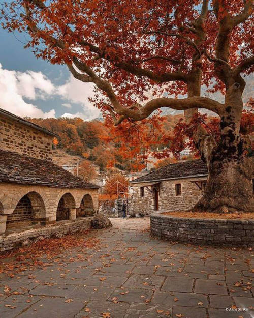 Mikró Pápingo, Epirus, Greece by Anna Sarika.  