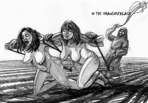 https://the-dark-basement.tumblr.com/post/169386988831