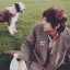 beatlesickle