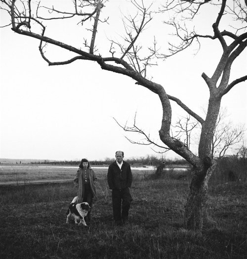 Jackson Pollock and Lee Krasner, April, 1949.