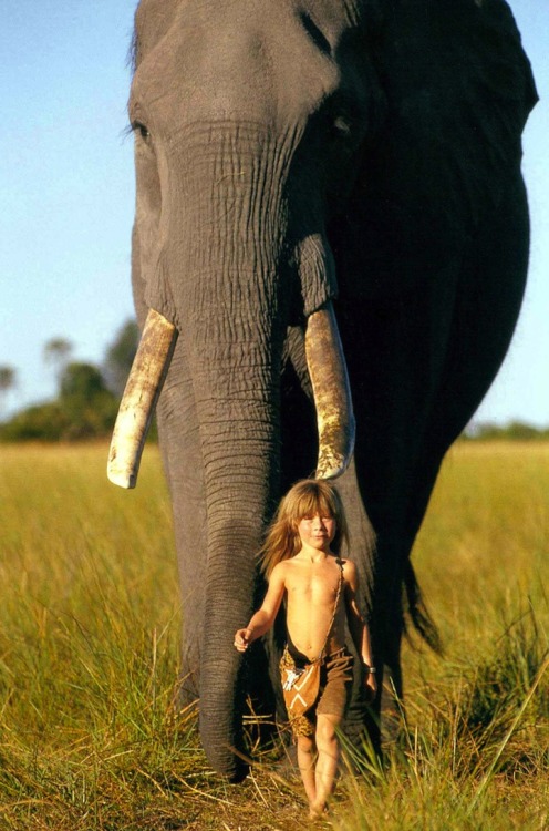 A real-life jungle book story!  Tippi Degré grew up riding a five-ton elephant whom she called ‘my b