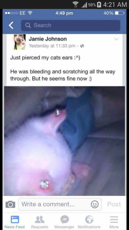 pixiecatastrophy:  imapeacefangirl:  casismypie:  I dont know when or where this happened(i took a screen shot of a screenshot), but I saw this on facebook and I need help here. This person needs to be reported.    This is animal abuse. It is not okay