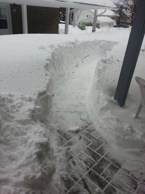deanasana:  Winter in Canada funnn Right is what I did, left it what’s left to do…I’m not even halfway to the street….