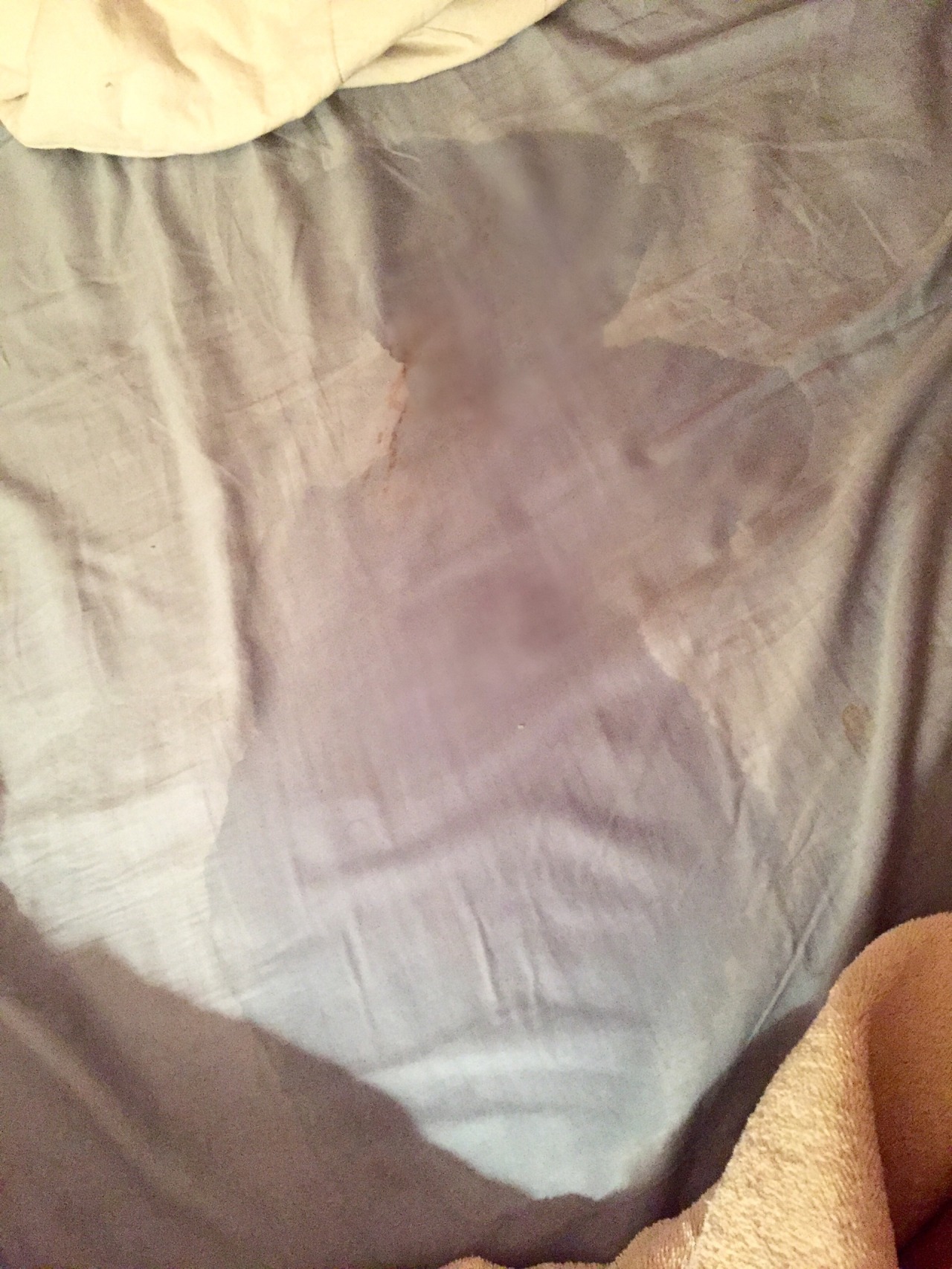 meludy:  aftermath of my suuuuper gushy squirt  1st pic context: my boyfriend was